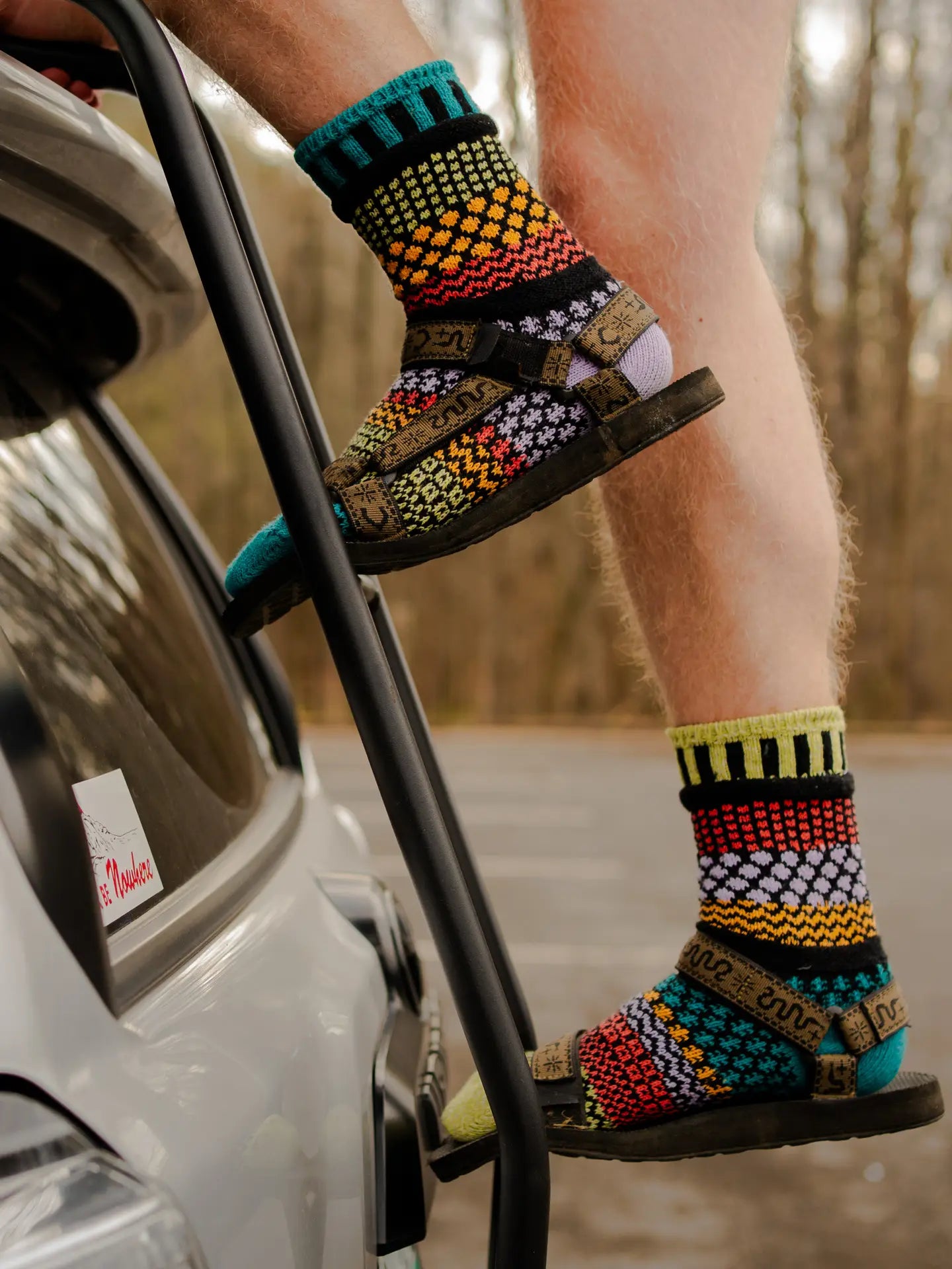 Artichoke Crew Socks