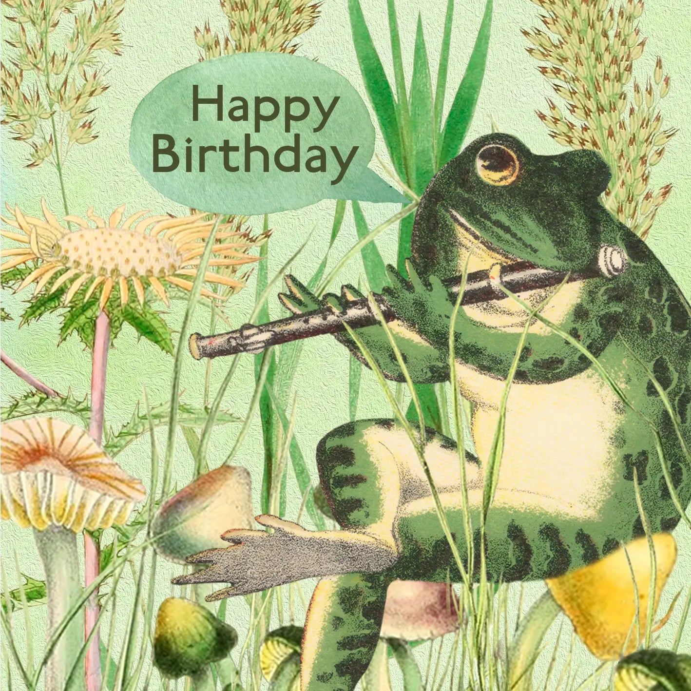 Flute Frog Birthday Card