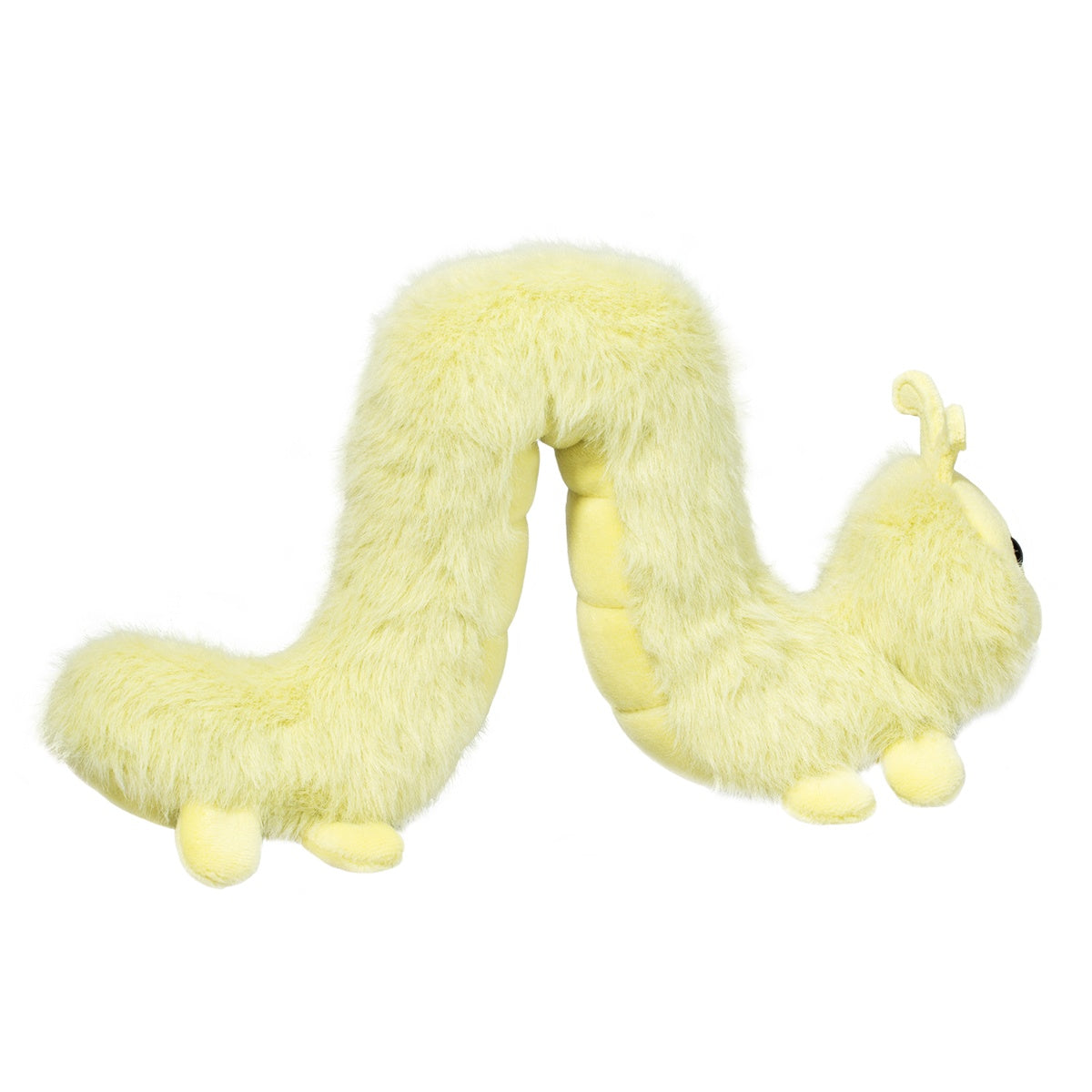 Inchy Inchworm
