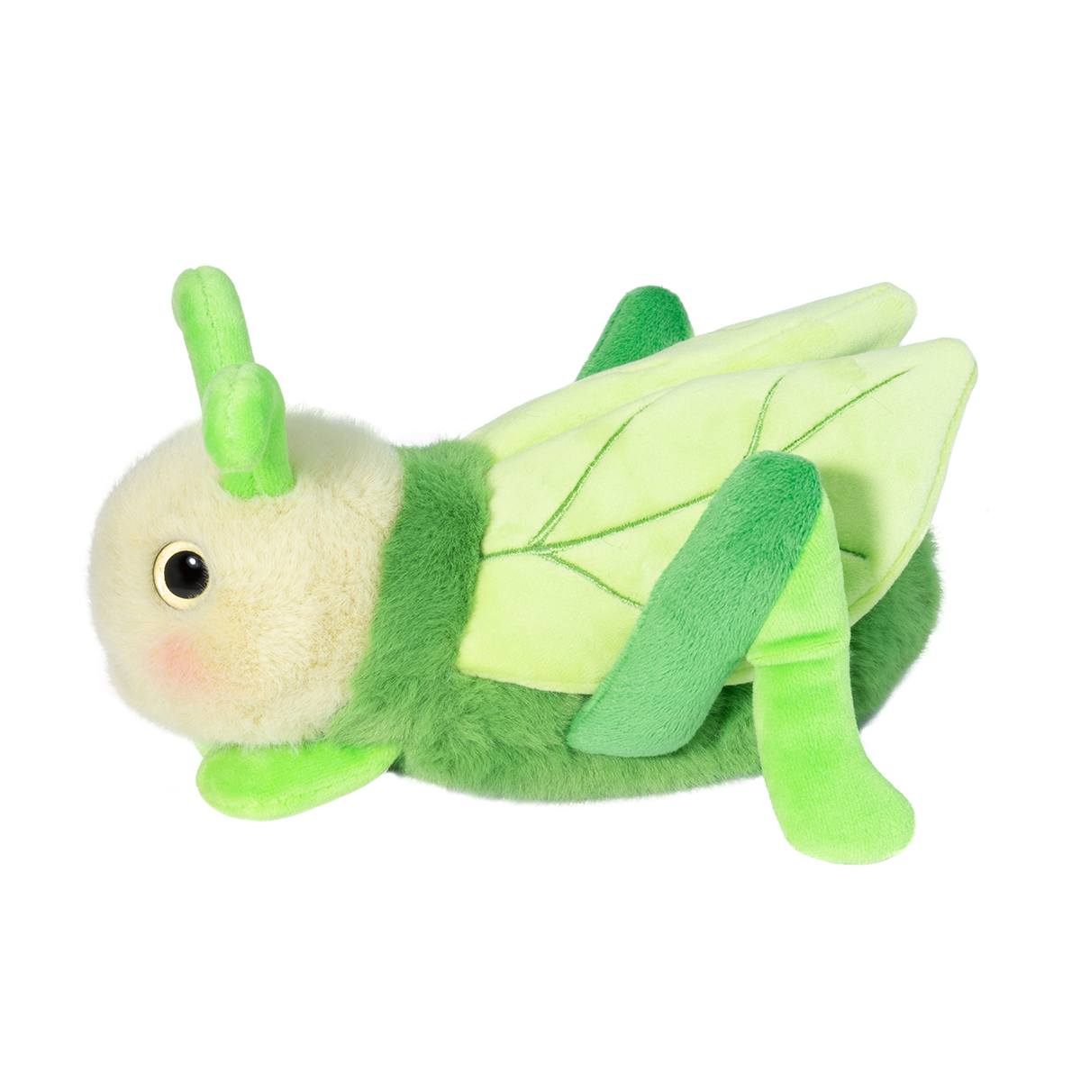 Kady Grasshopper