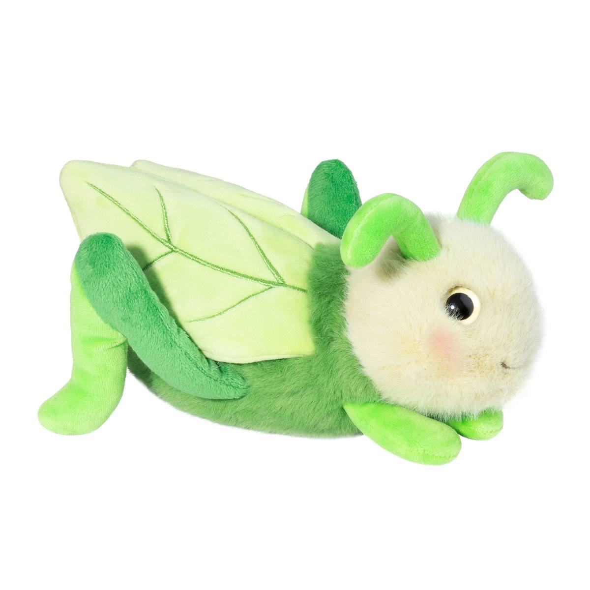 Kady Grasshopper