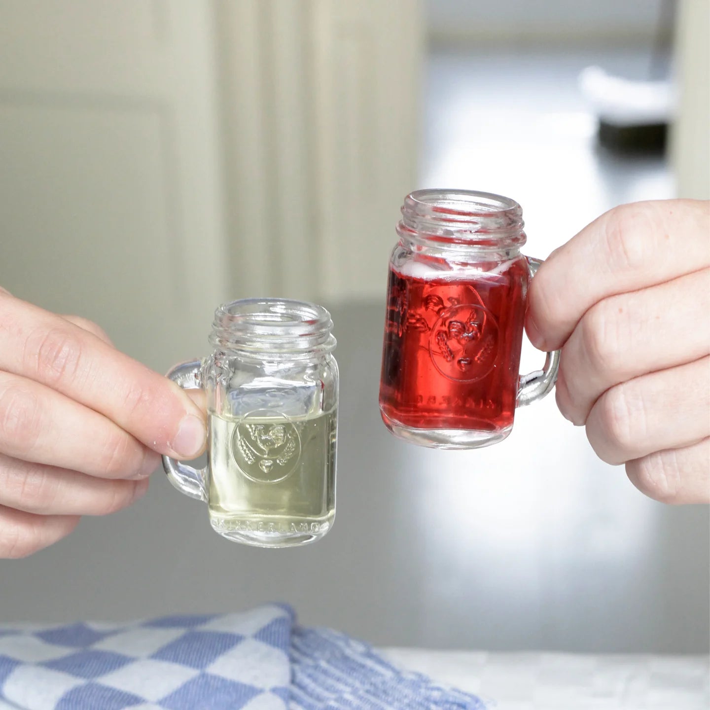 Mason Jar Shot Glasses Set of 4