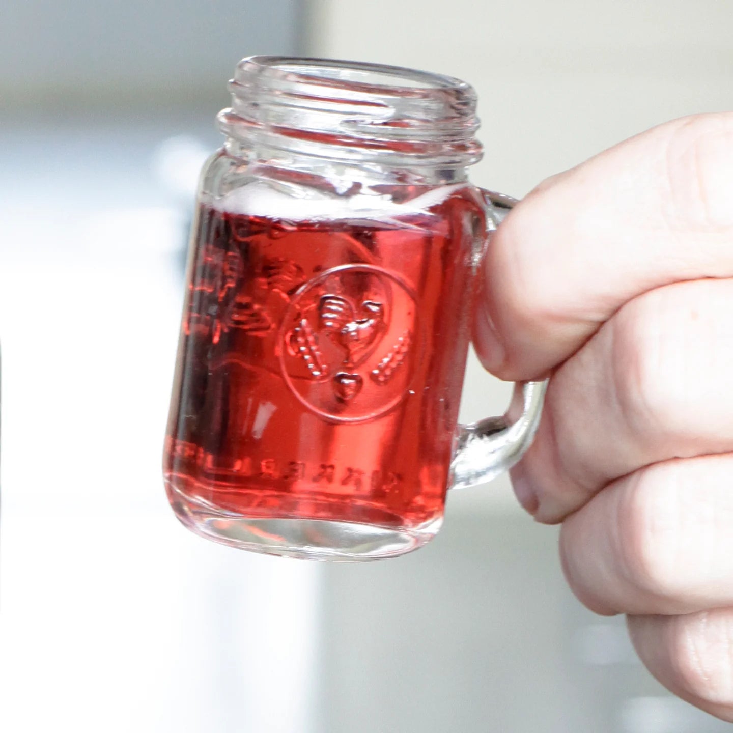 Mason Jar Shot Glasses Set of 4