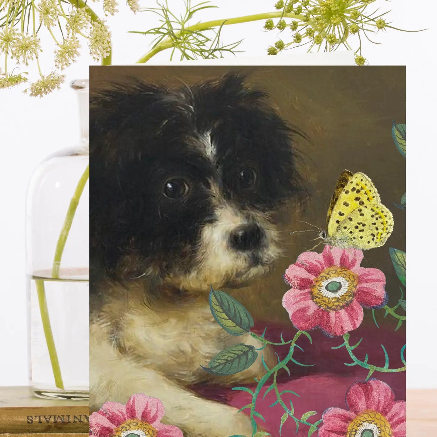 Mr Fluff Blank Card