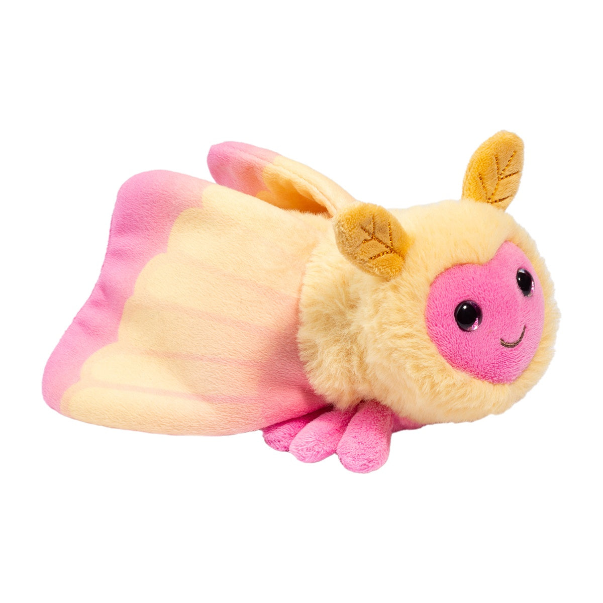 Rosy Maple Moth