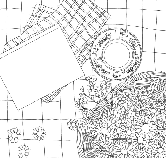 Still Life Coloring Book by Alli Koch