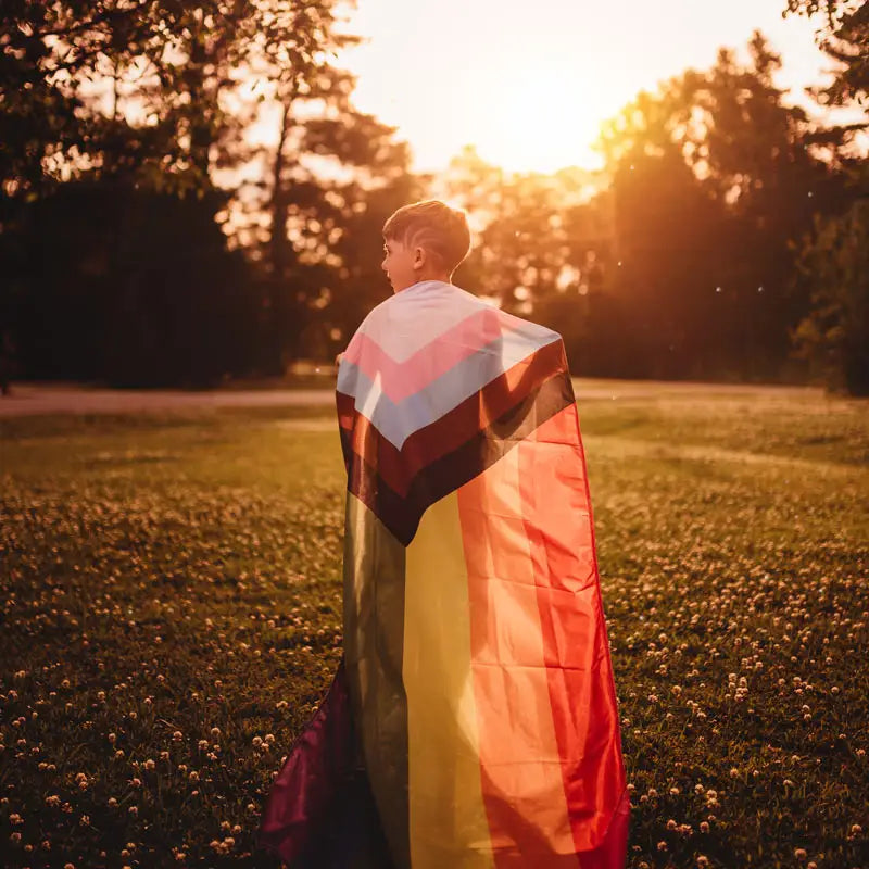Large Progress Pride Flag