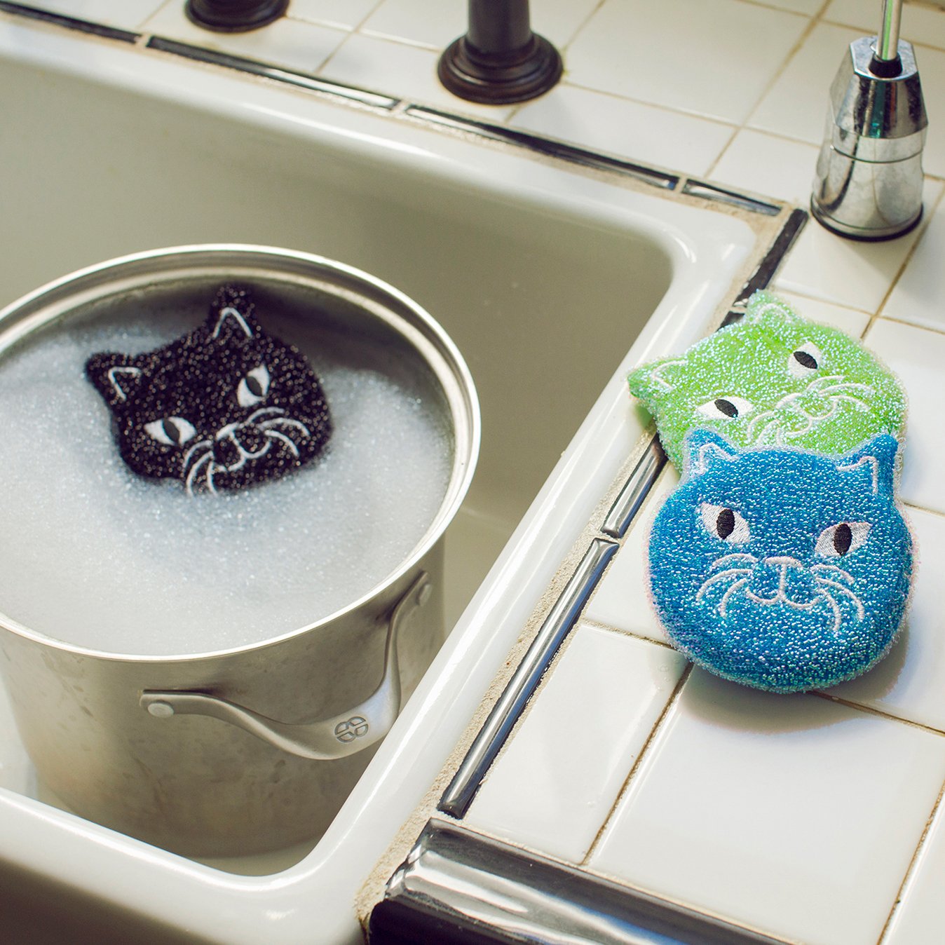 Cat sponge set