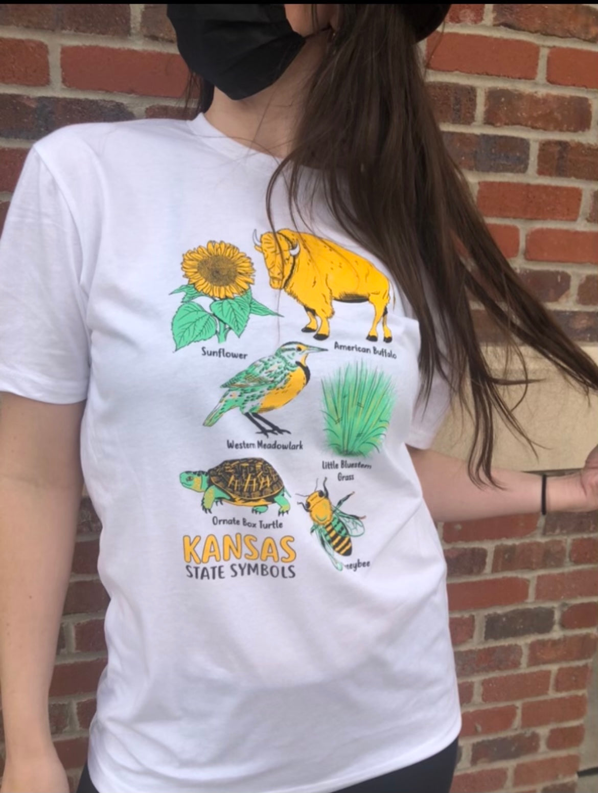 Kansas Symbols Tee