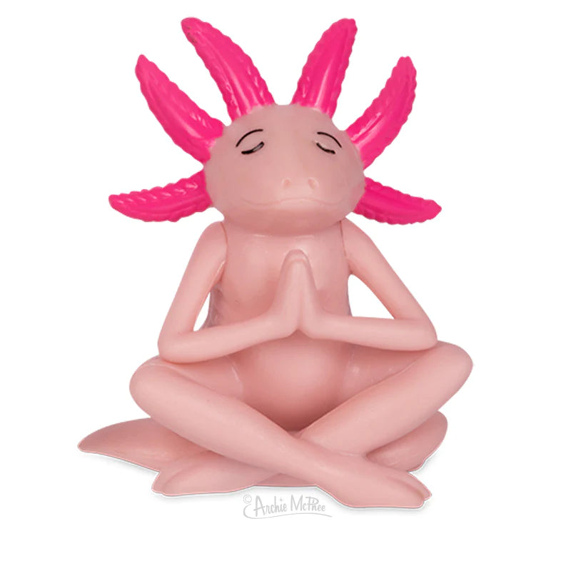 Meditating Axolotl