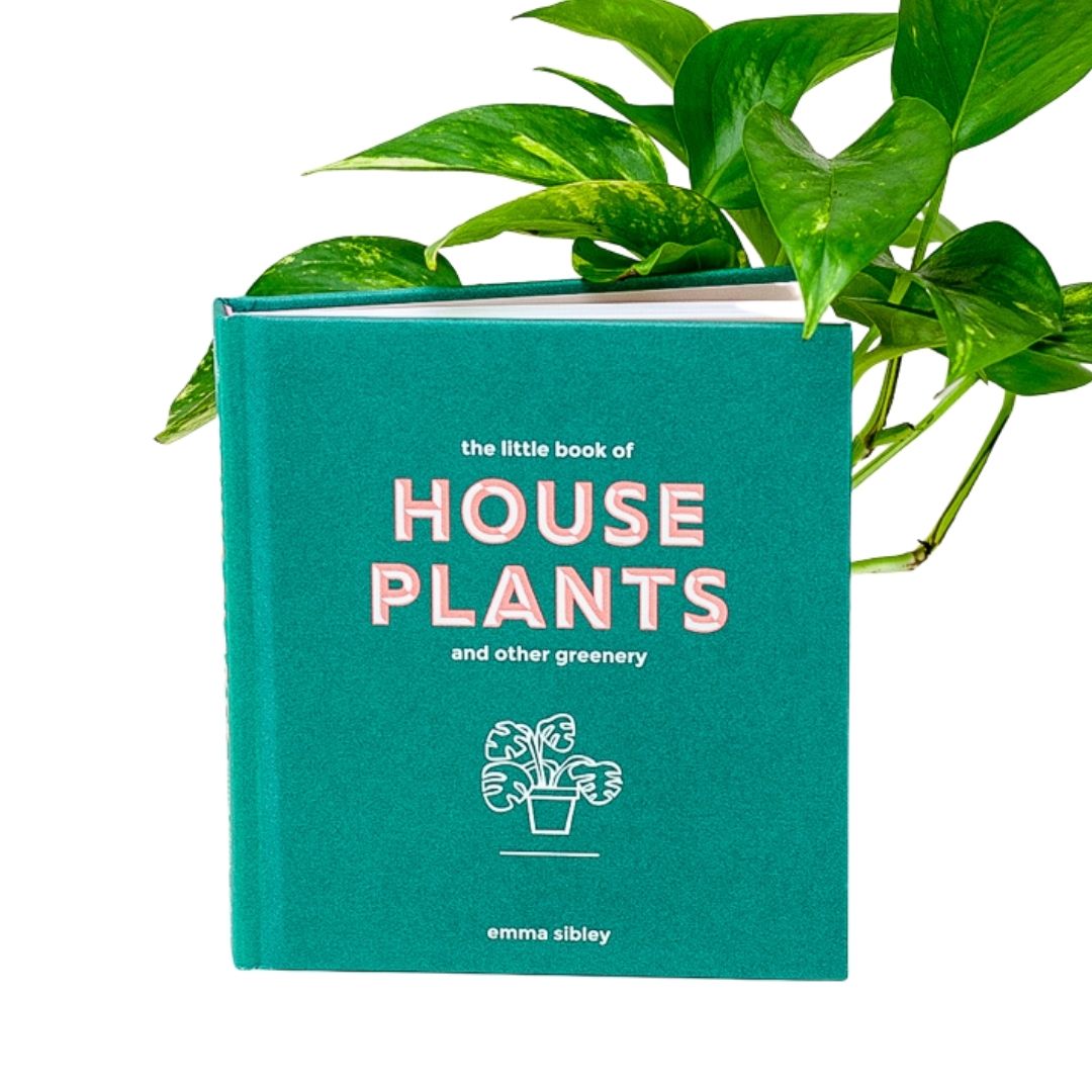 the little book of house plants The Little Book of House Plants