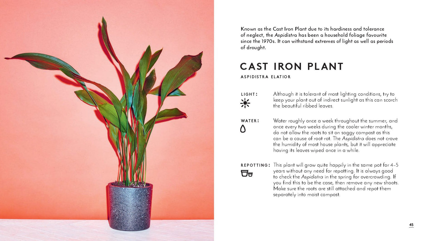 The Little Book of House Plants