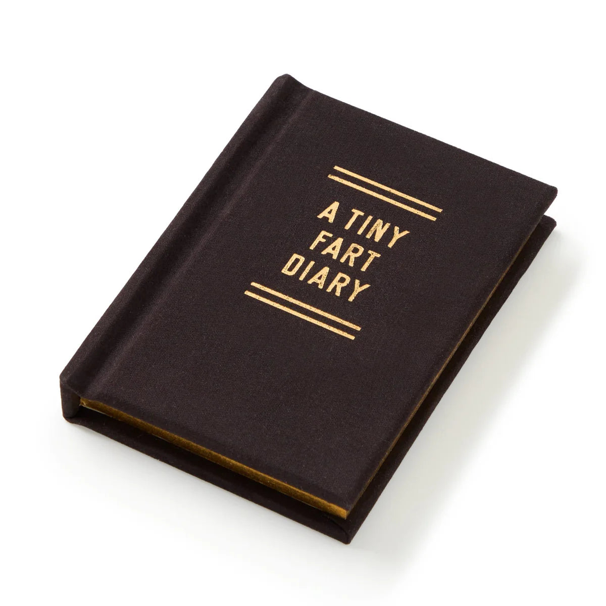 Tiny Fart Diary