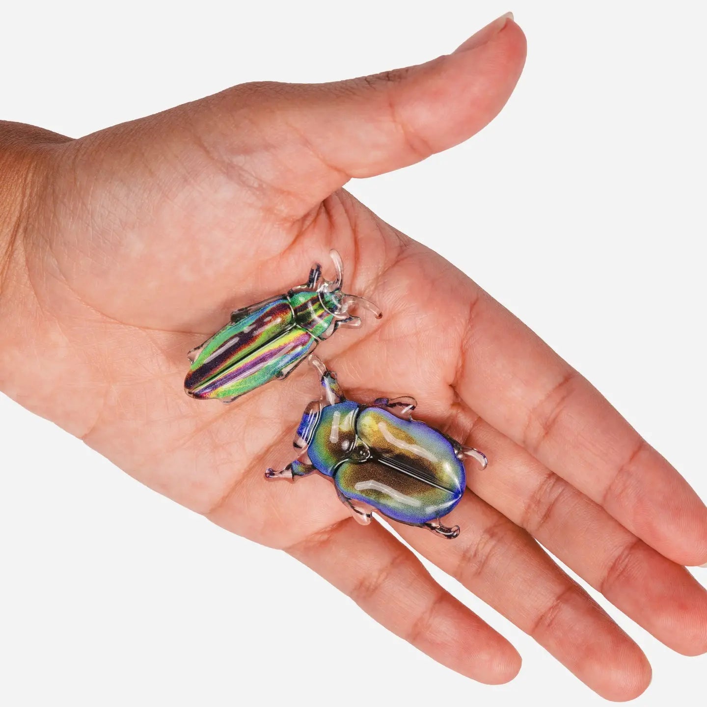 Allie Beetle Clips in Disco Diggers by Chunks