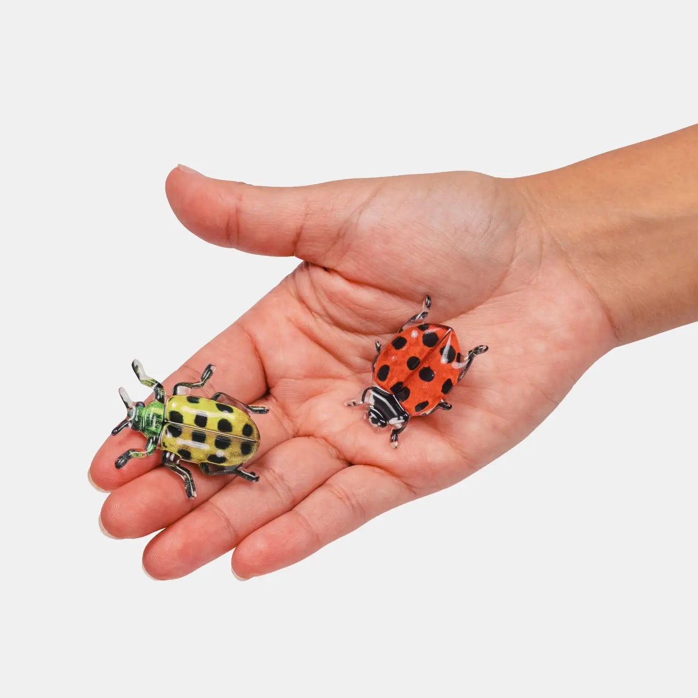 Allie Clips in Spotted Crawlers by Chunks