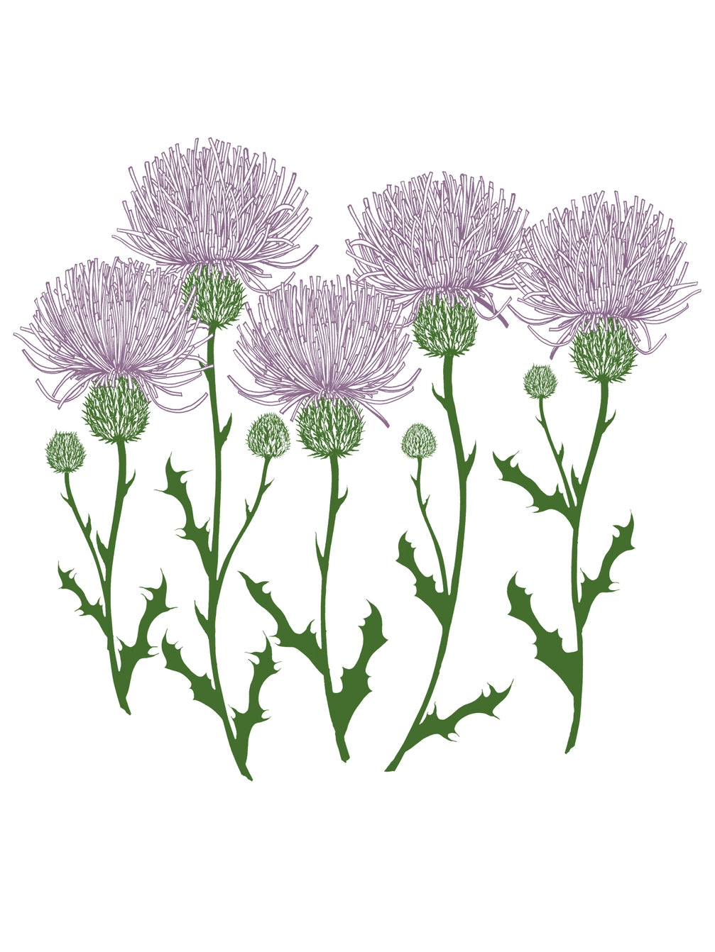 Apricot Thistles Mandy Crop Hoodie