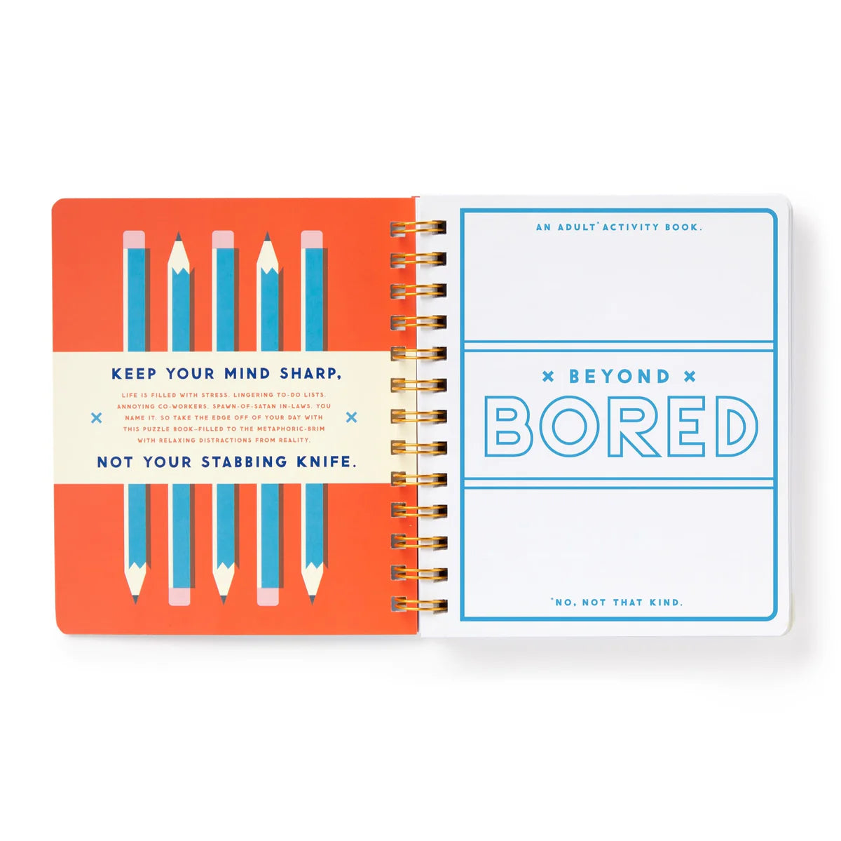 Beyond Bored Activity Book