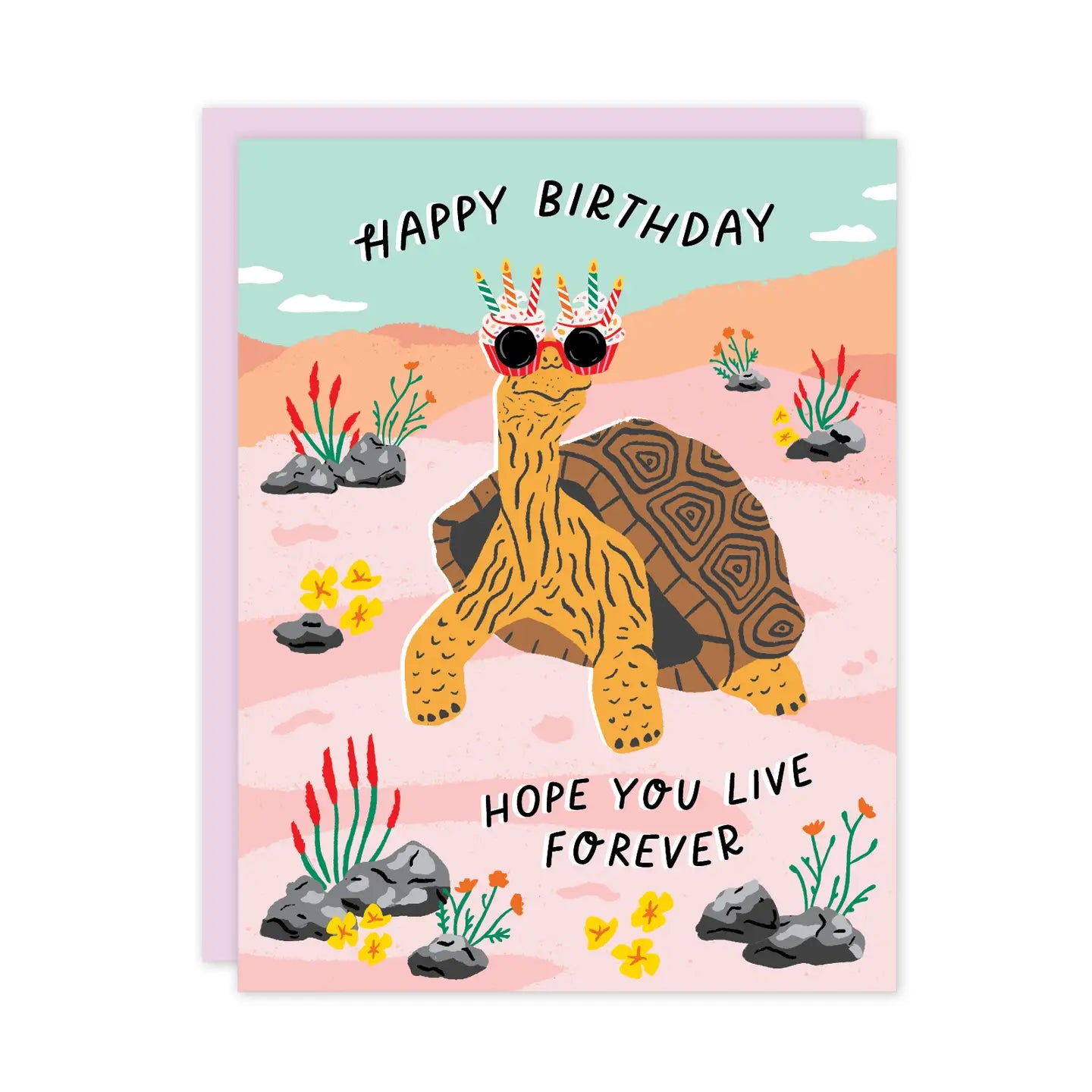 Birthday Tortoise Card