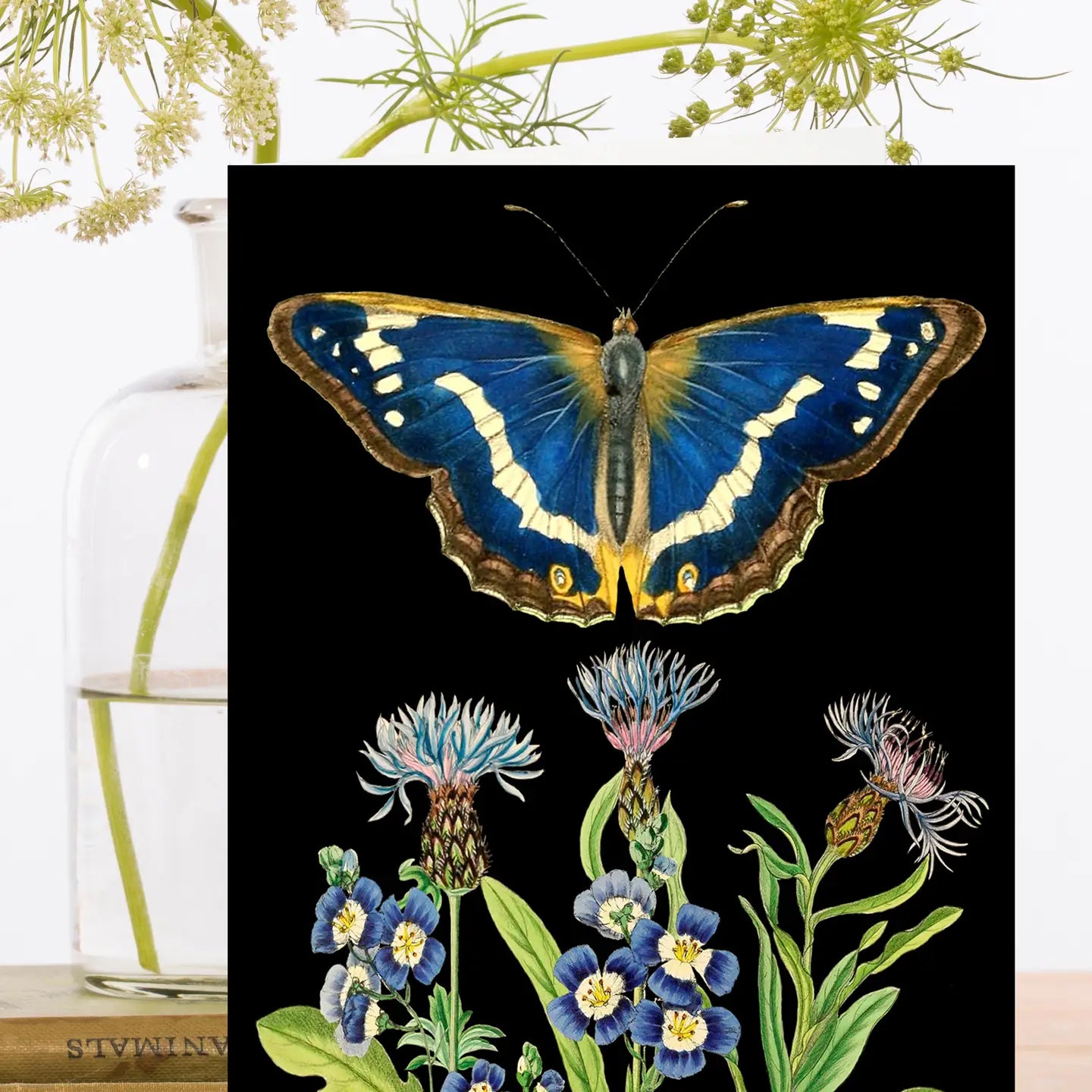 Blue Butterfly Blank Card