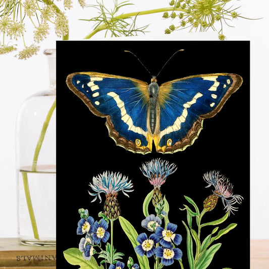Blue Butterfly Blank Card