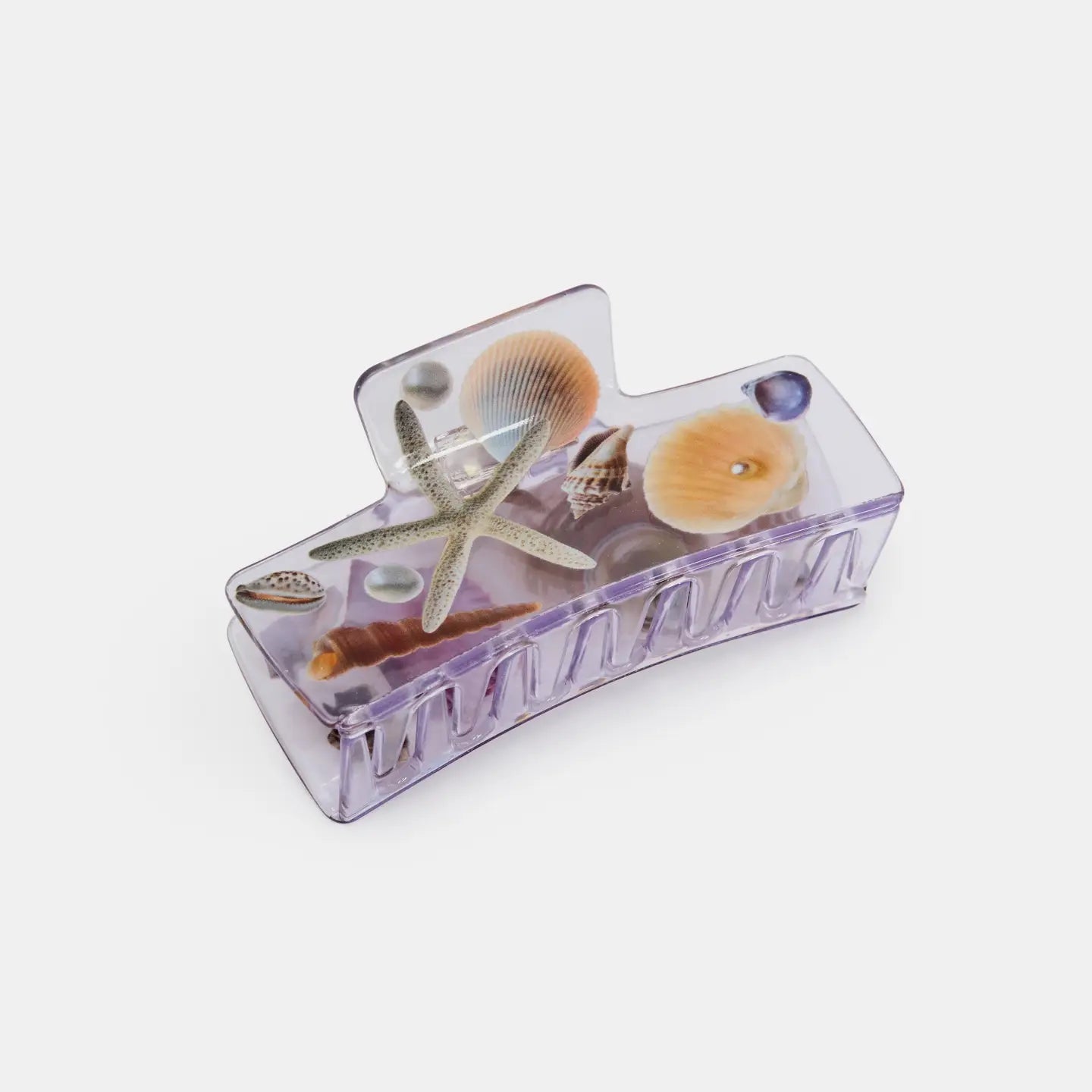 Box Claw in Seashell by Chunks