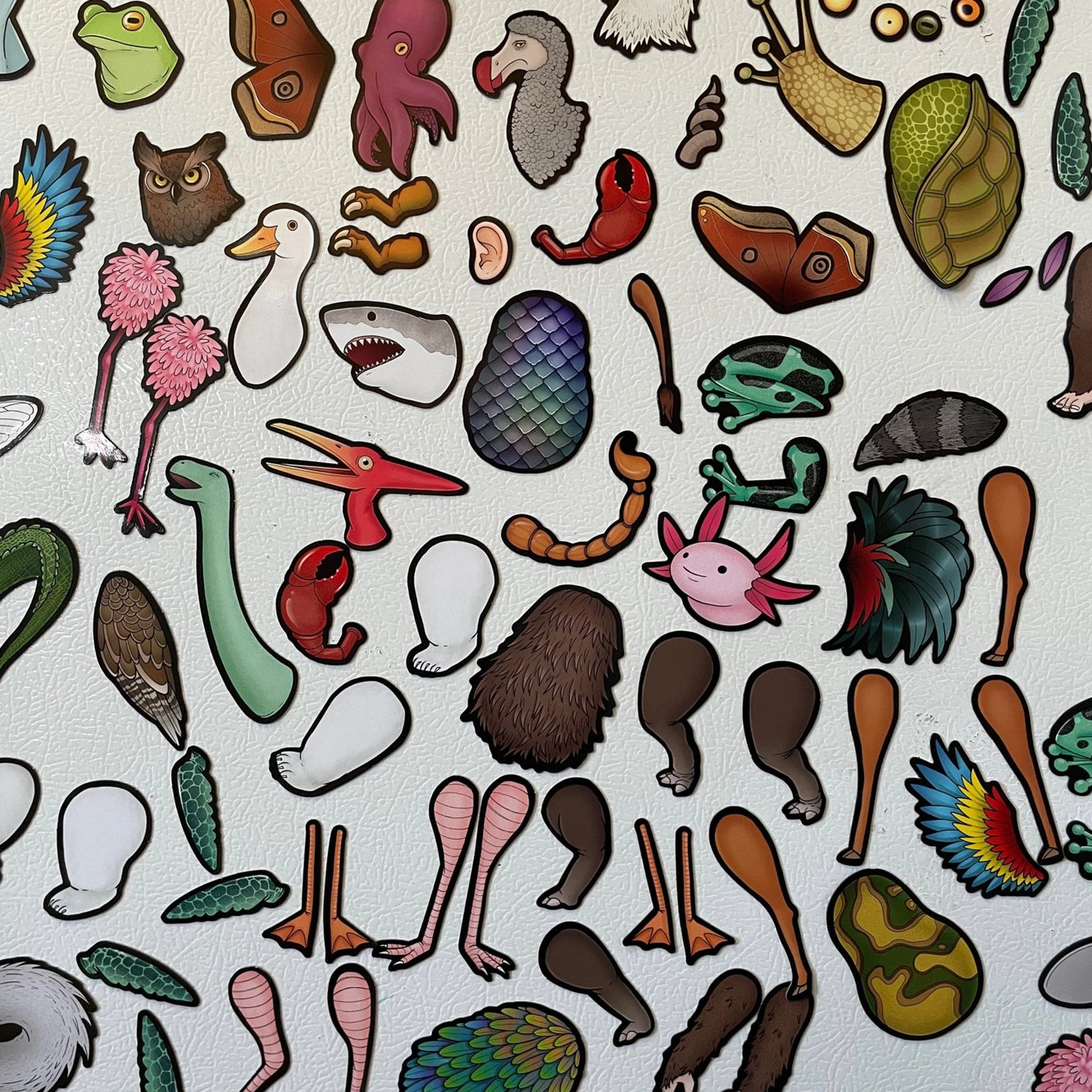 Cryptid Construction Magnet Kit