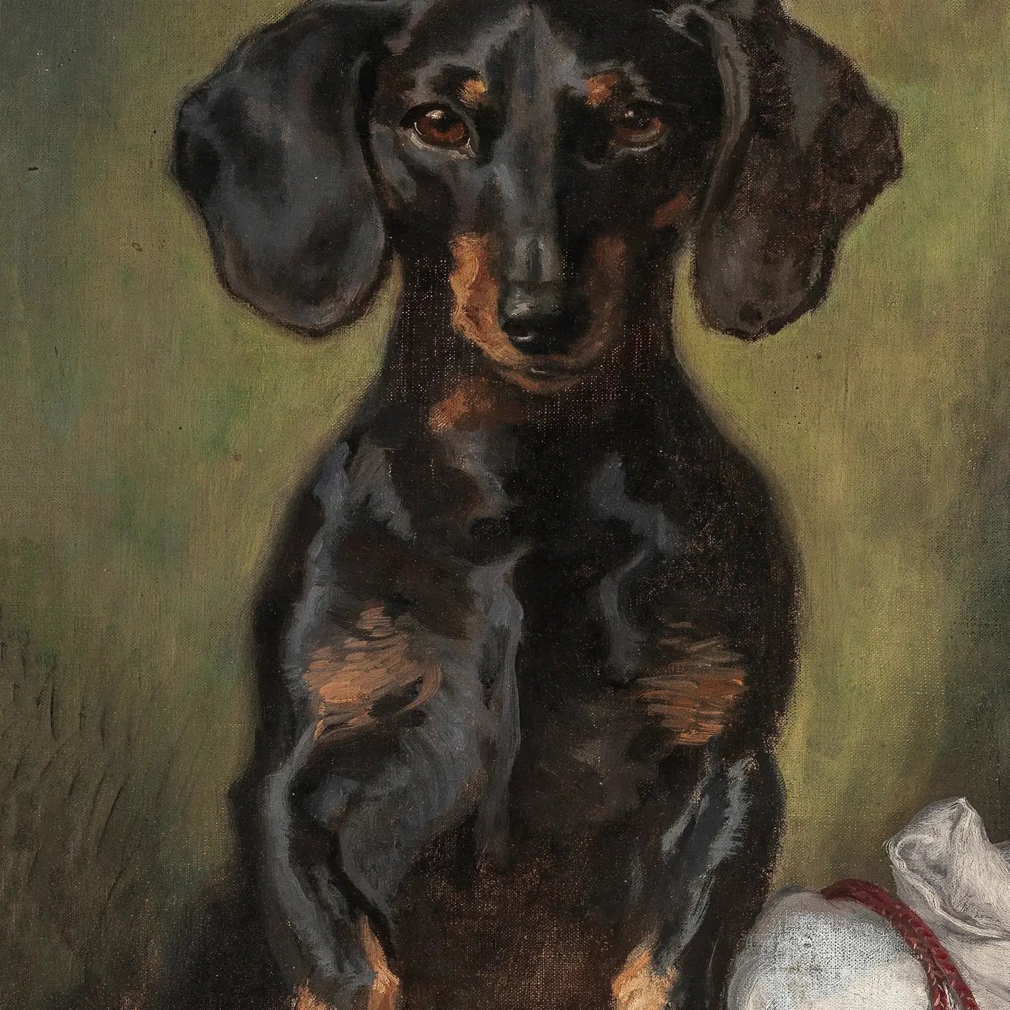 Dachshund Birthday Card