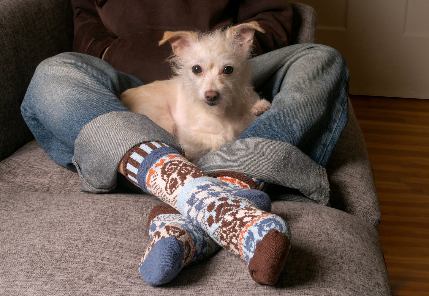 Dog Crew Socks by Solmate