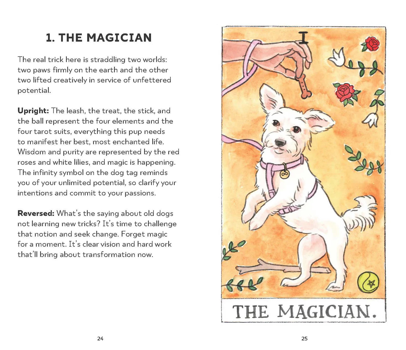 Dog Tarot Cards