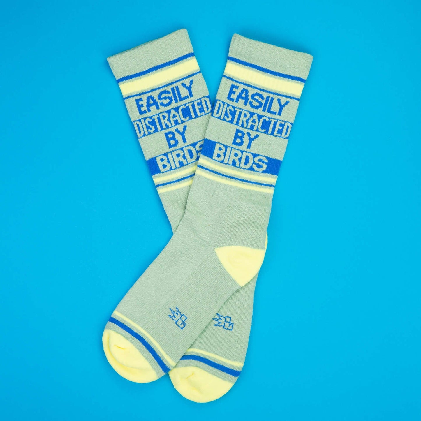 Easily Distracted by Birds Socks