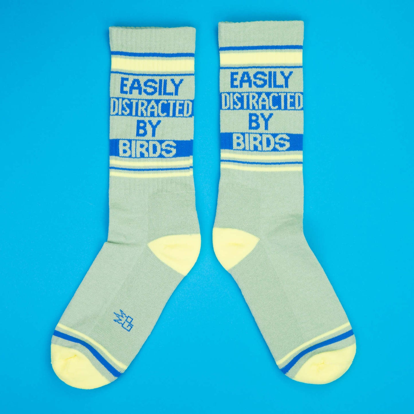 Easily Distracted by Birds Socks
