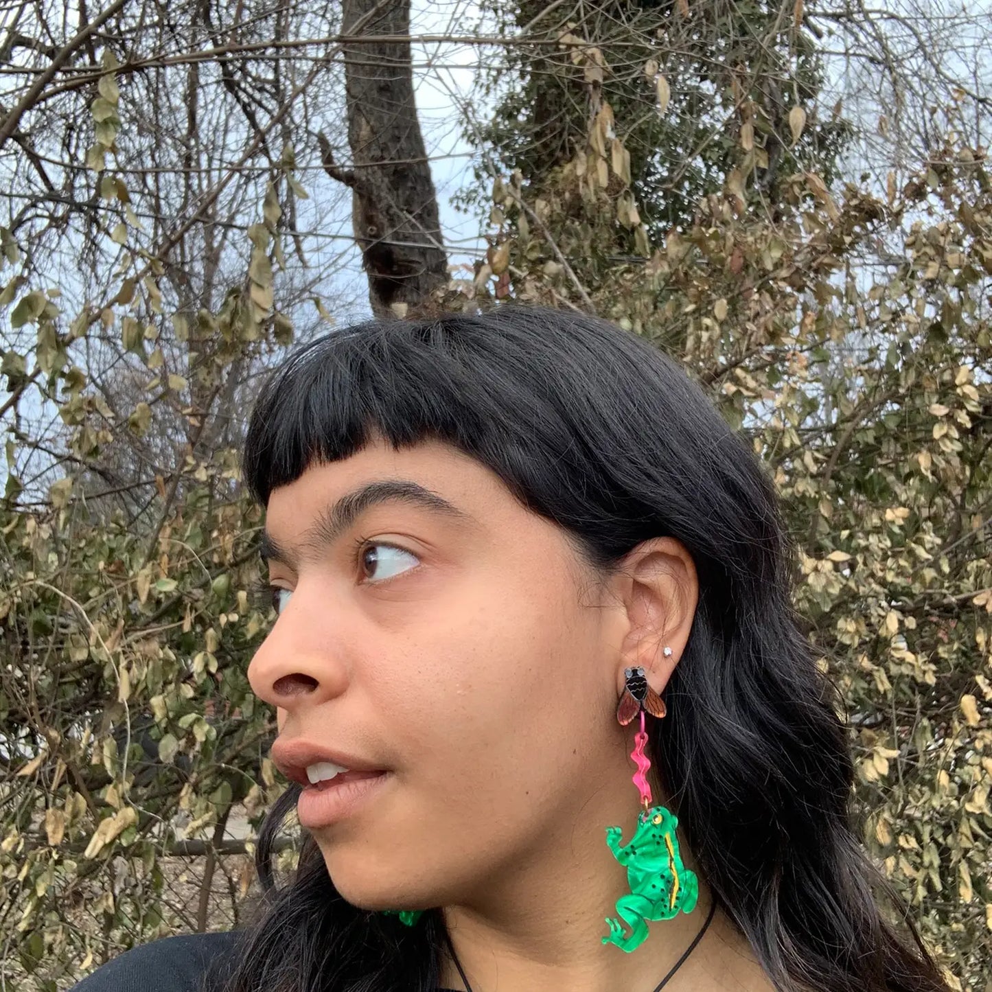 Frog and Fly Earrings