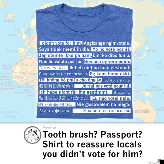 I Didn't Vote For Him Travel Edition