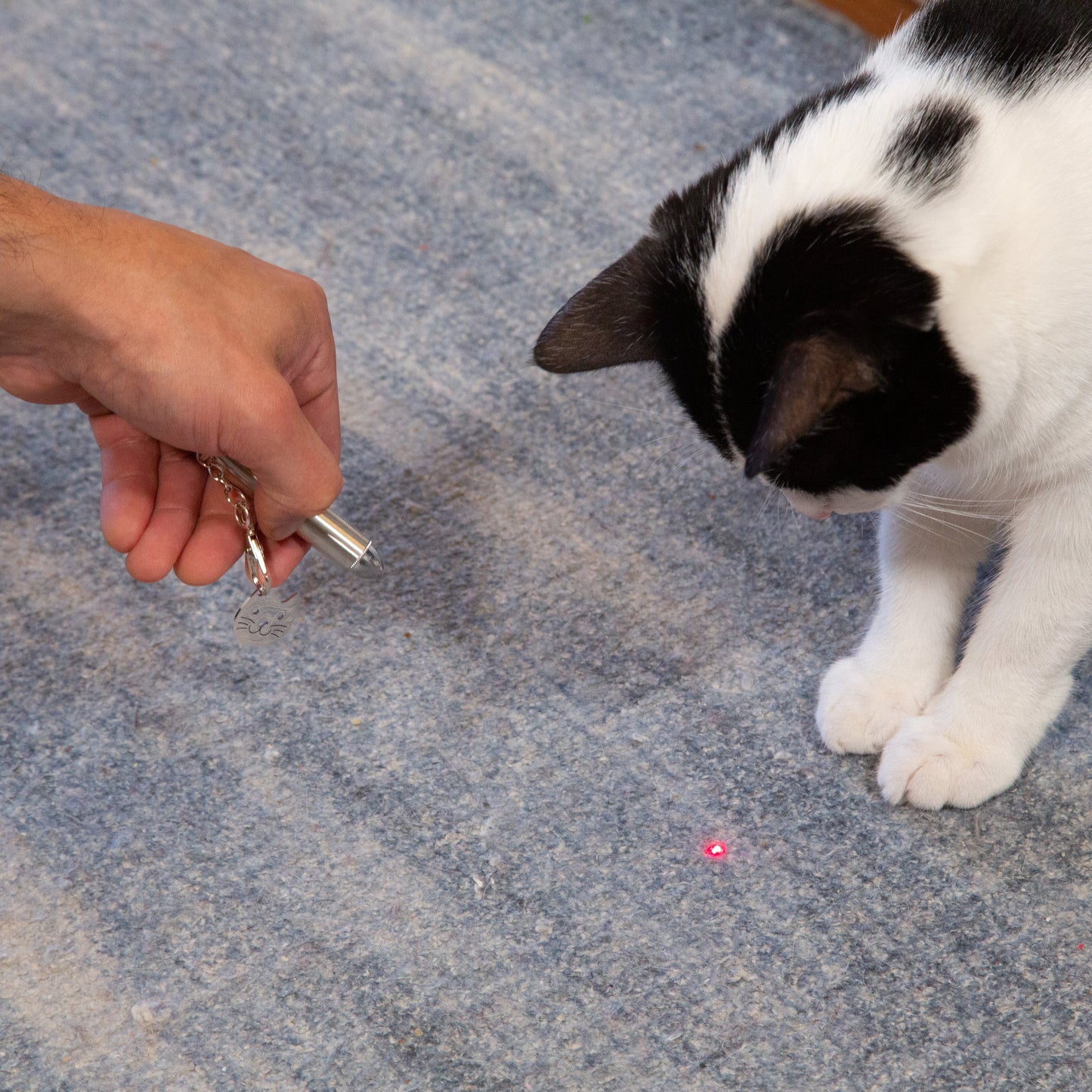 Kiko Laser Pointer