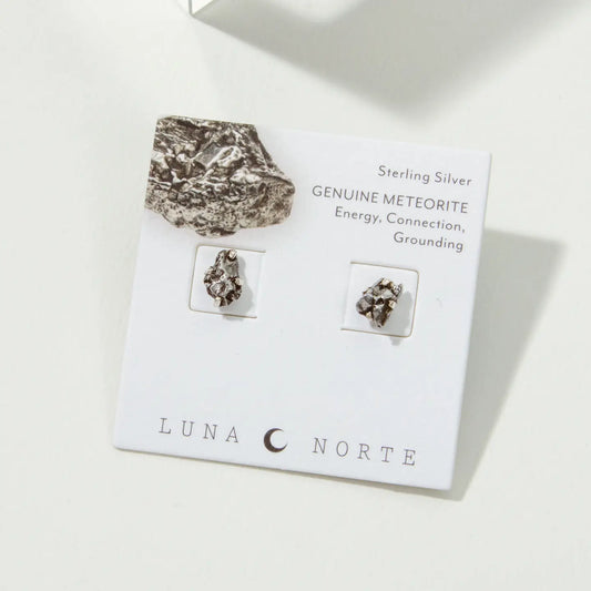 Meteorite Sterling Silver Post Earrings by Luna Norte