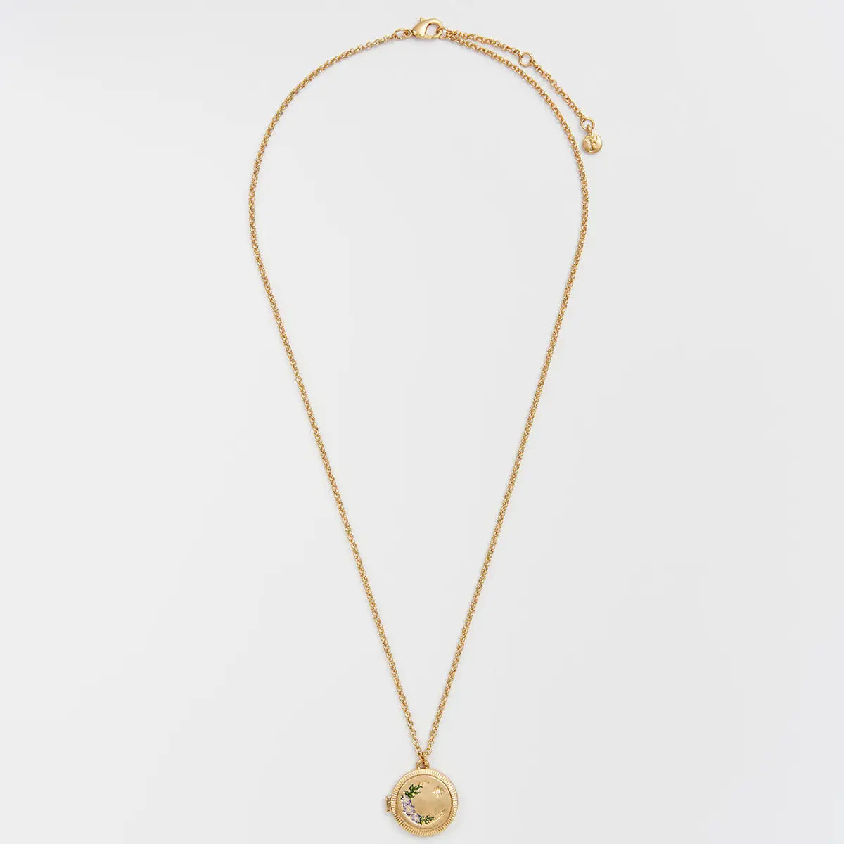 Nightshade Moon Gold Locket by Fable England