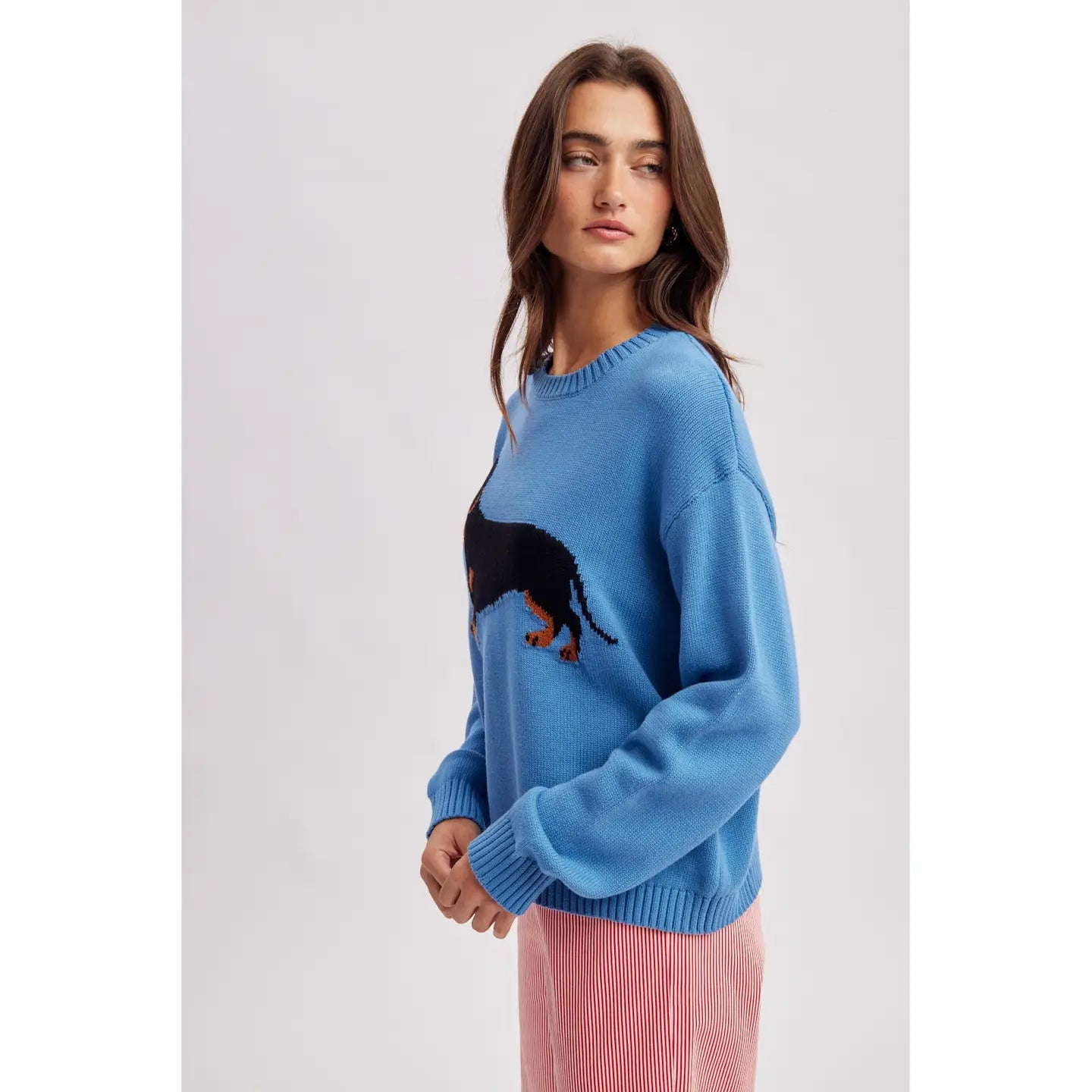 Pacific Blue Dachshund Sweater