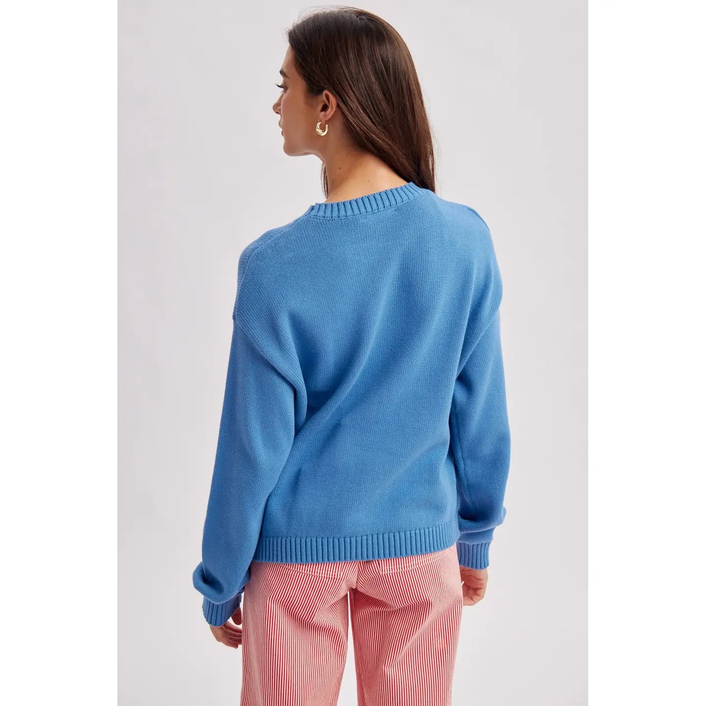 Pacific Blue Dachshund Sweater
