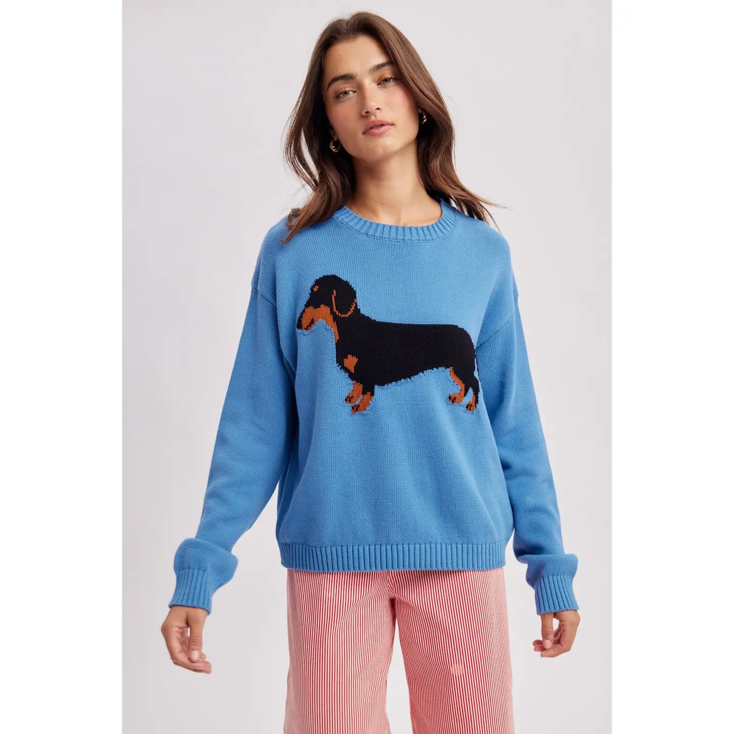 Pacific Blue Dachshund Sweater