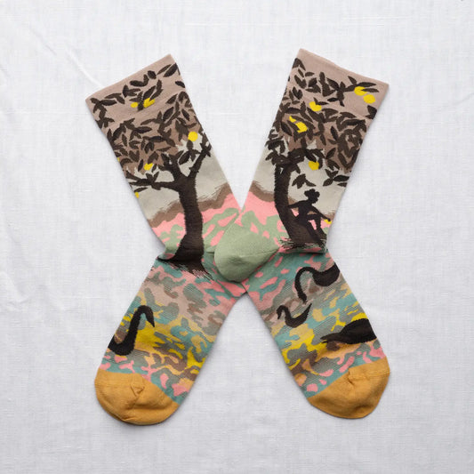 Pastel Multi Tree Landscape Socks