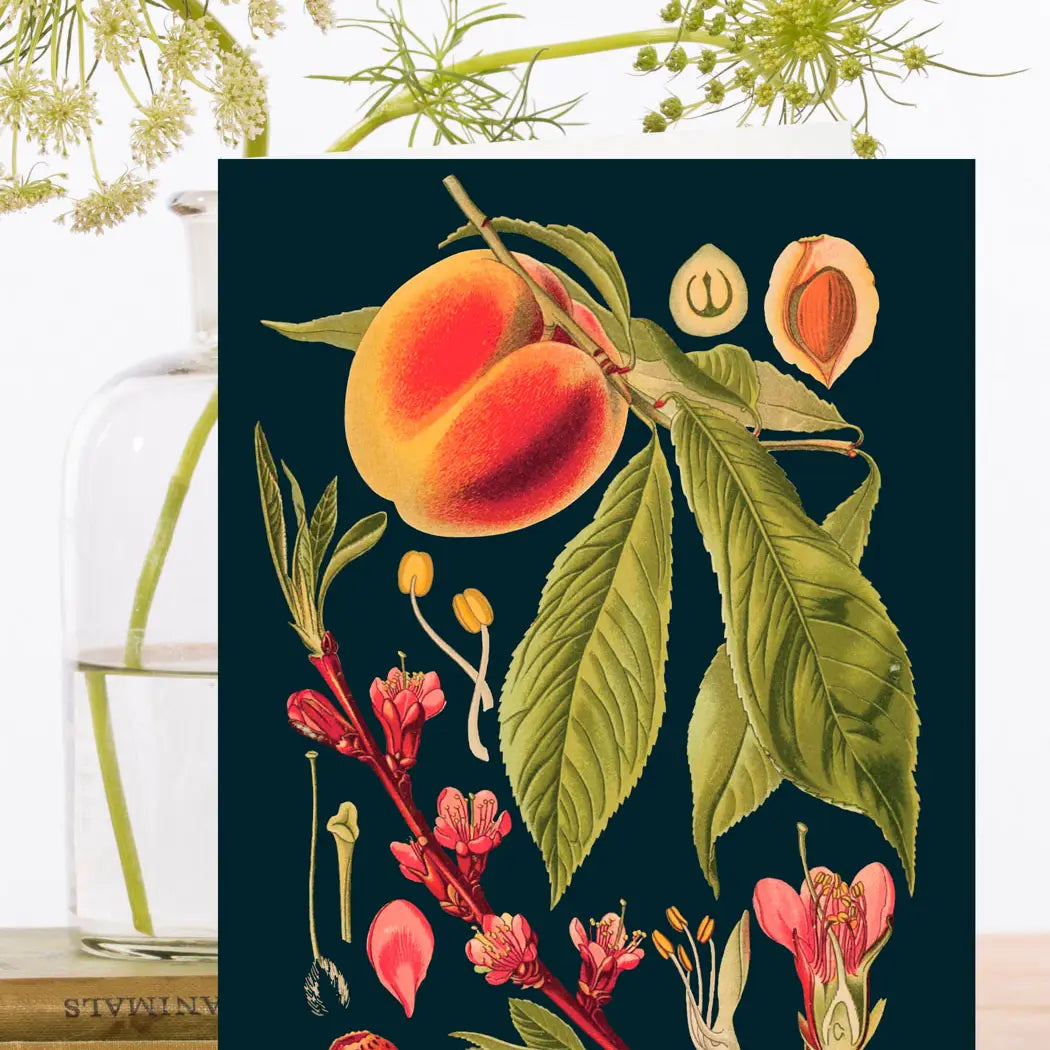 Peach Midnight Botanical Blank Card