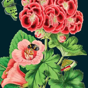 Pink Geranium Midnight Botanical Blank Card