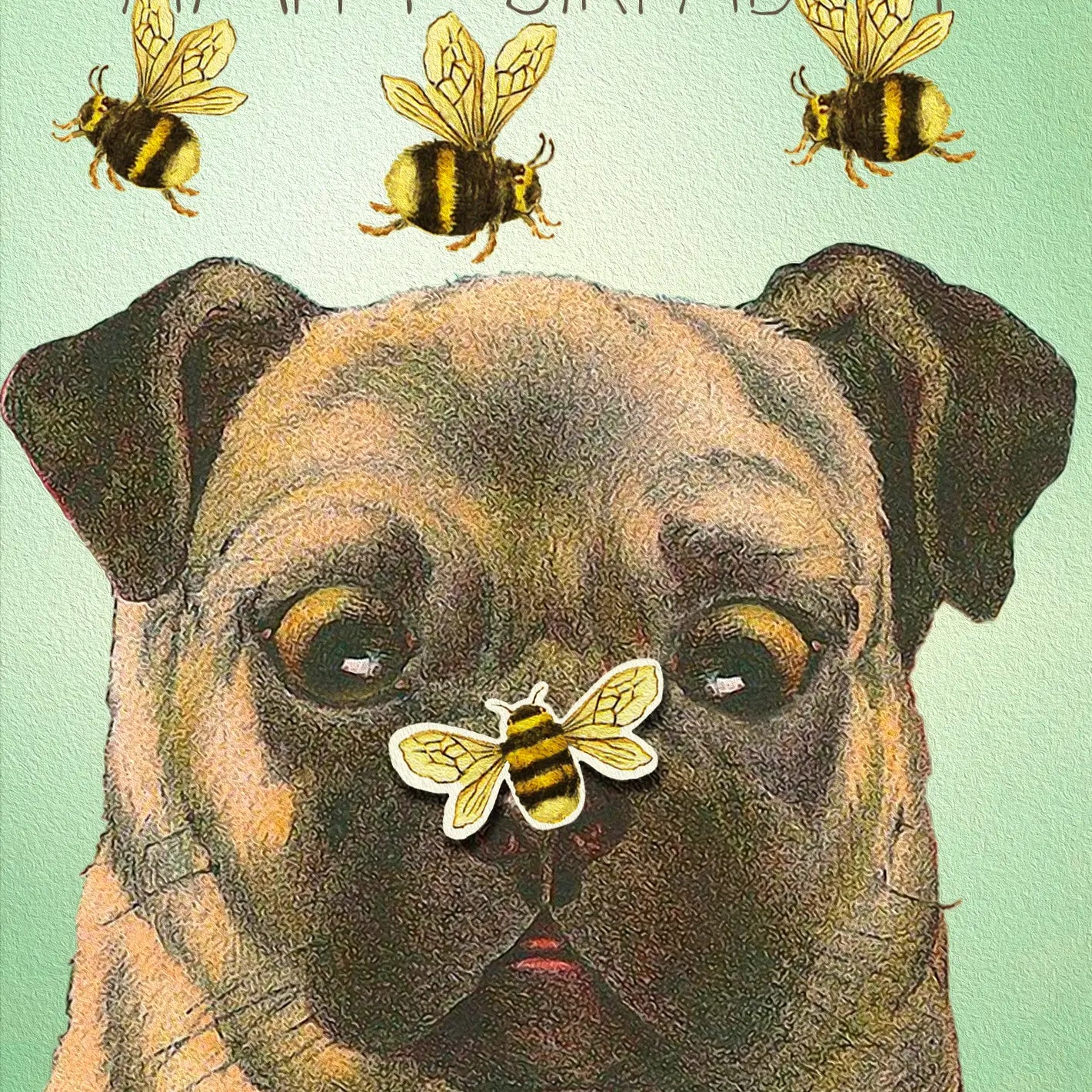 Pug Bee Birthday Card