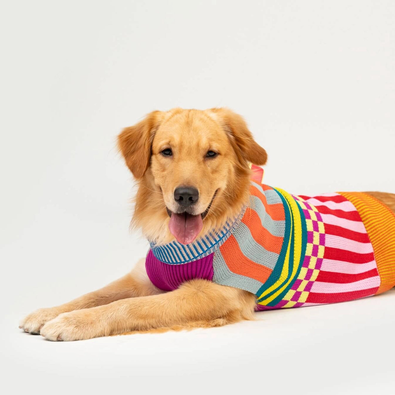 Rainbow Pattern Patch Dog Sweater