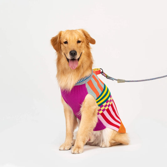 Rainbow Pattern Patch Dog Sweater