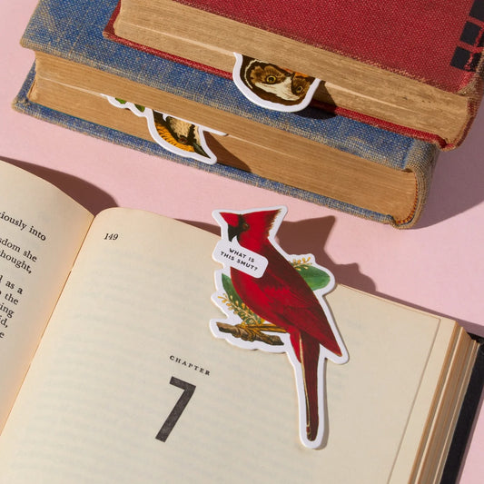 Salty Birds Magnetic Bookmark Set of 3