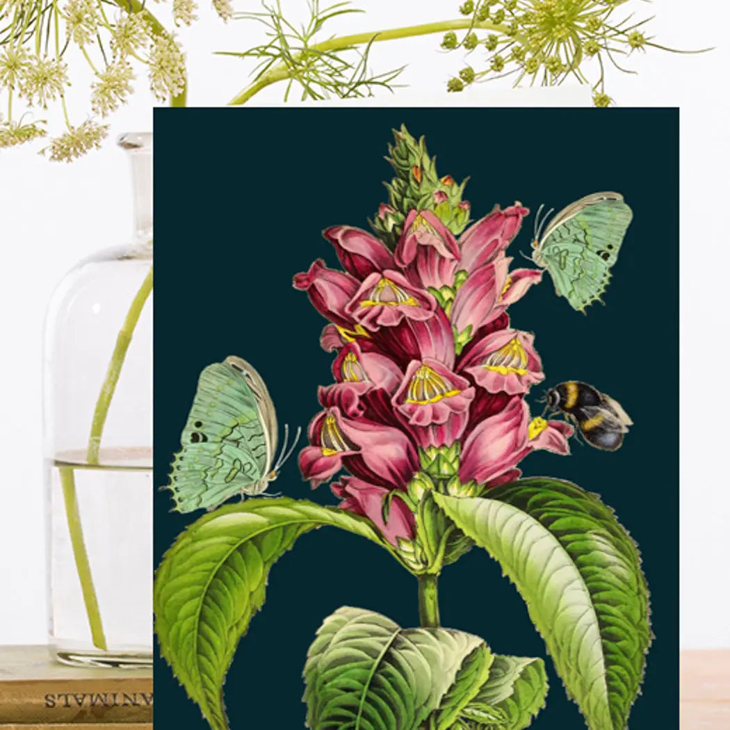 Snapdragon Blank Card