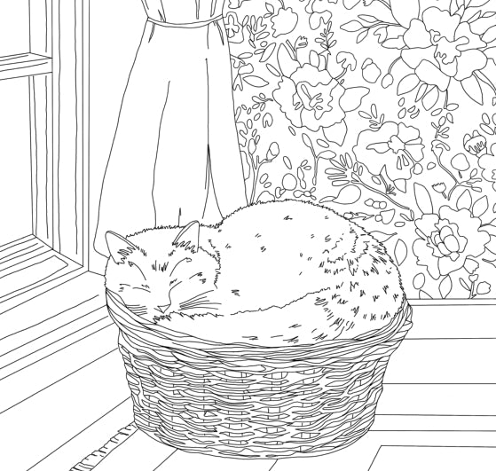 Still Life Coloring Book by Alli Koch