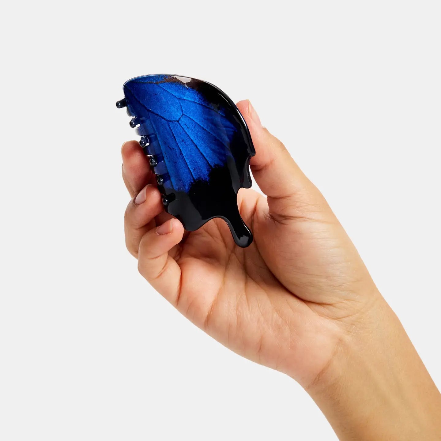 Swallowtail Butterfly Claw by Chunks