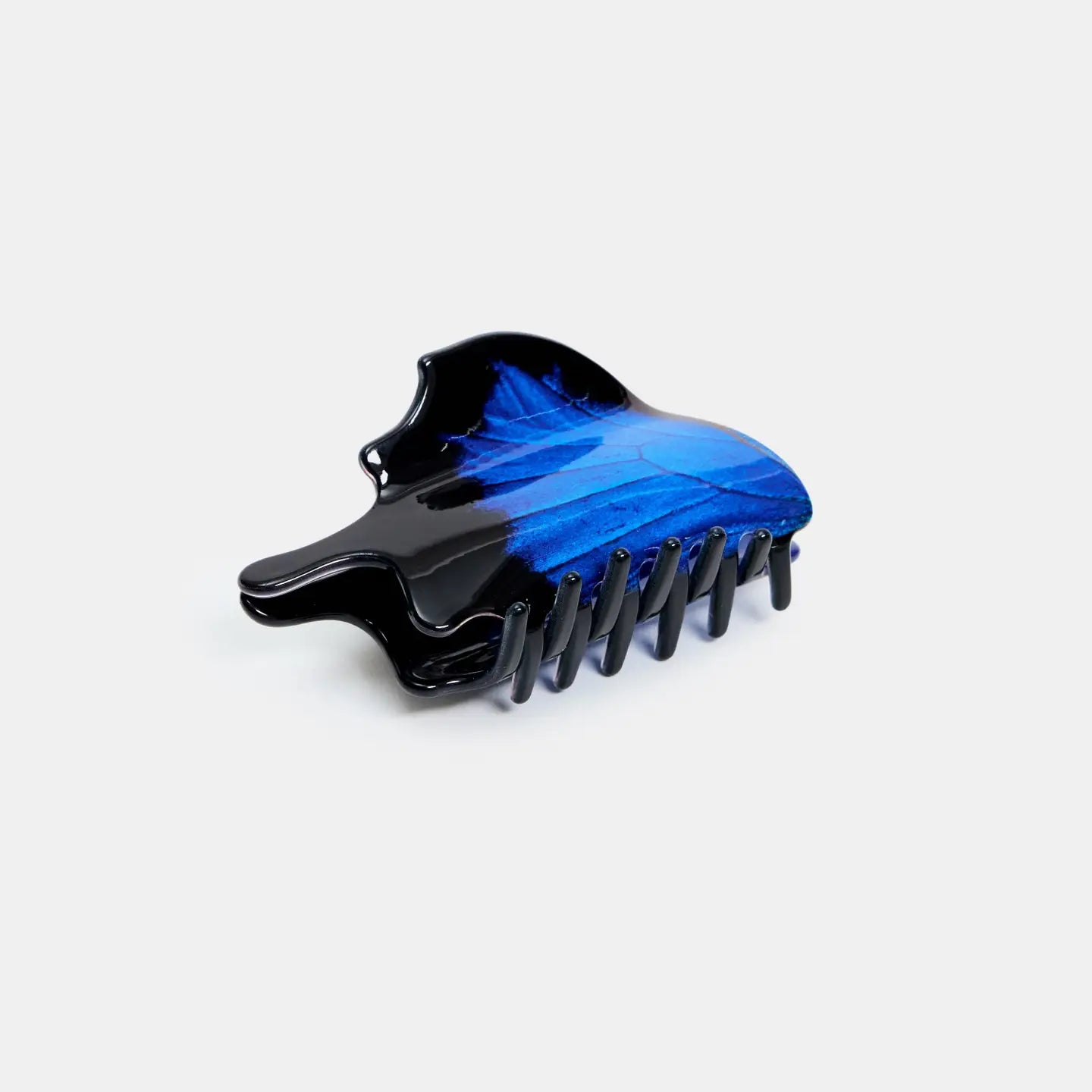 Swallowtail Butterfly Claw by Chunks